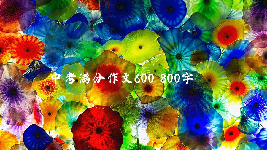 中考满分作文600 800字