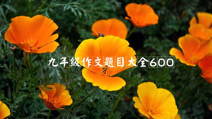 九年级作文题目大全600