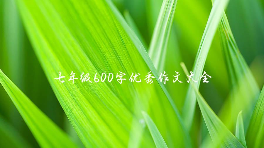 七年级600字优秀作文大全