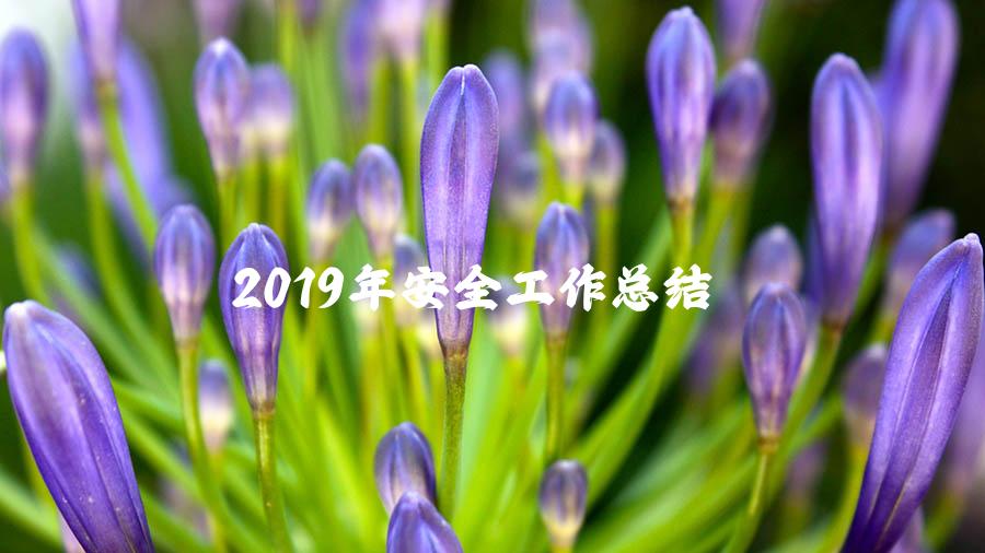 2019年安全工作总结