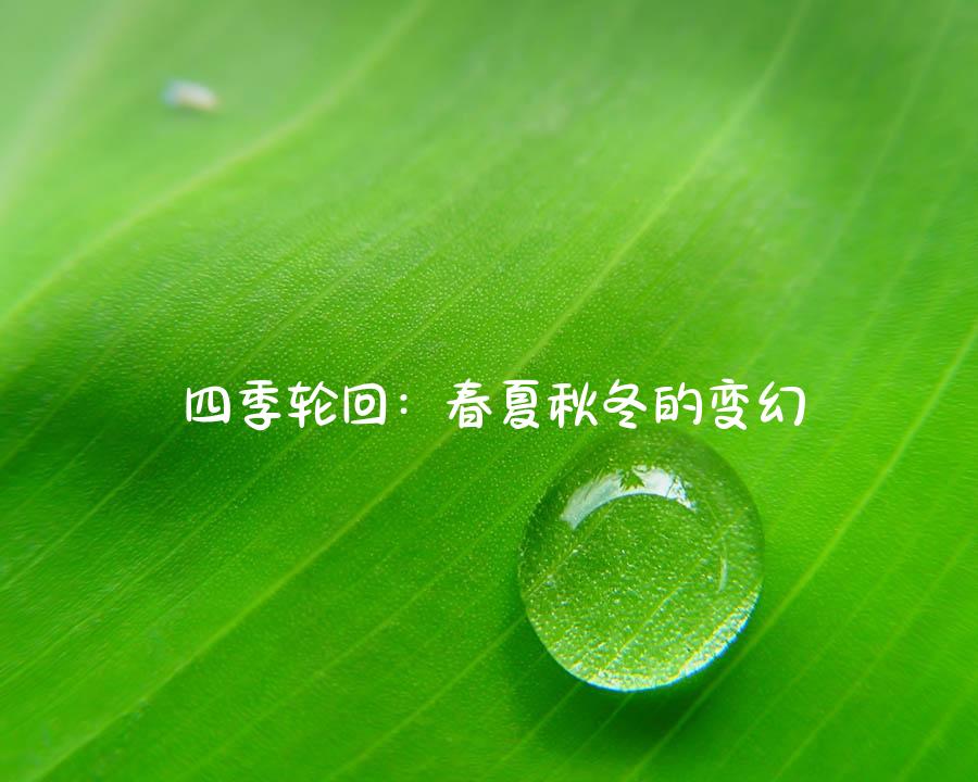 四季轮回：春夏秋冬的变幻