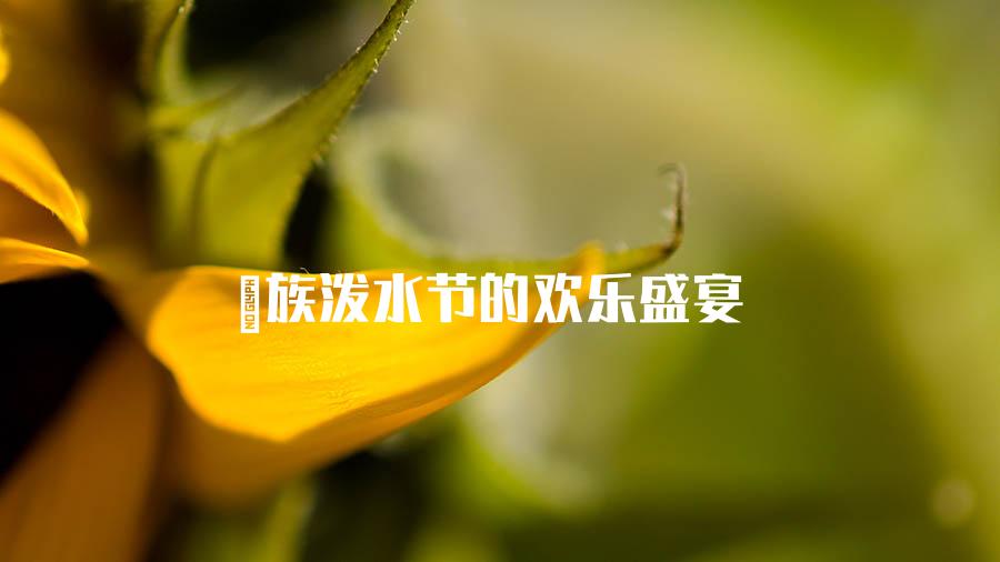 傣族泼水节的欢乐盛宴