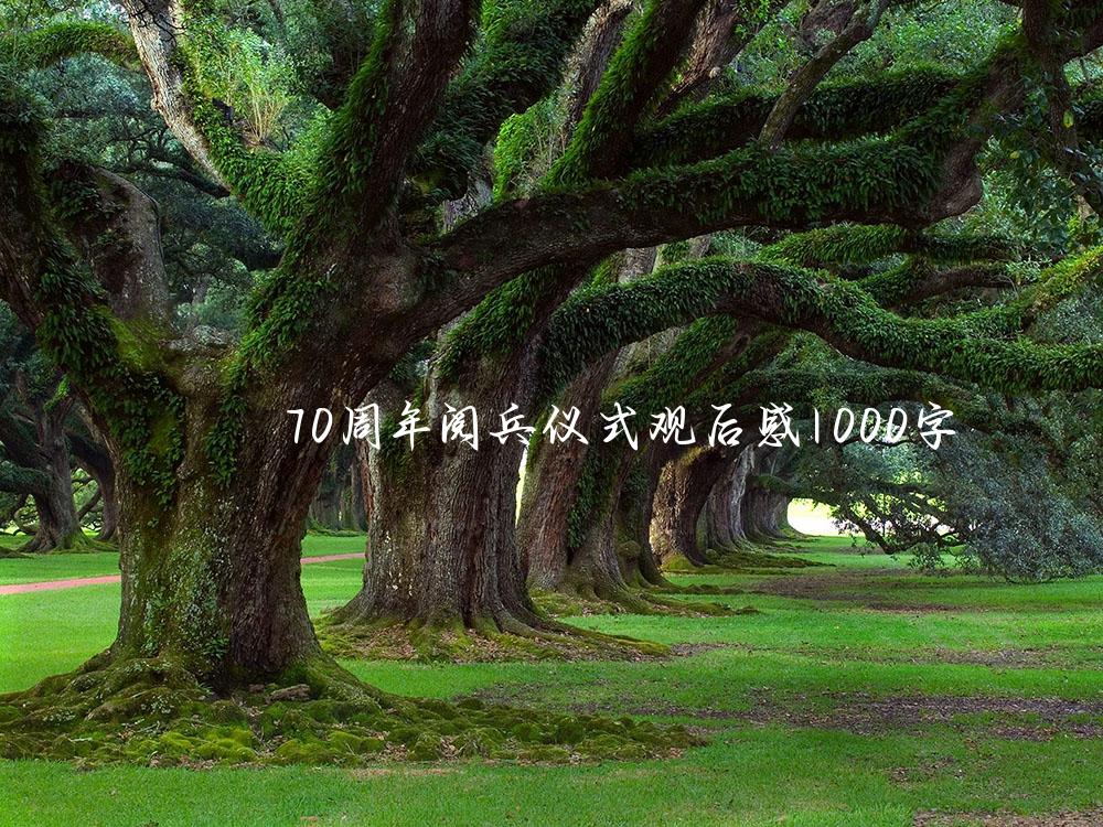 70周年阅兵仪式观后感1000字