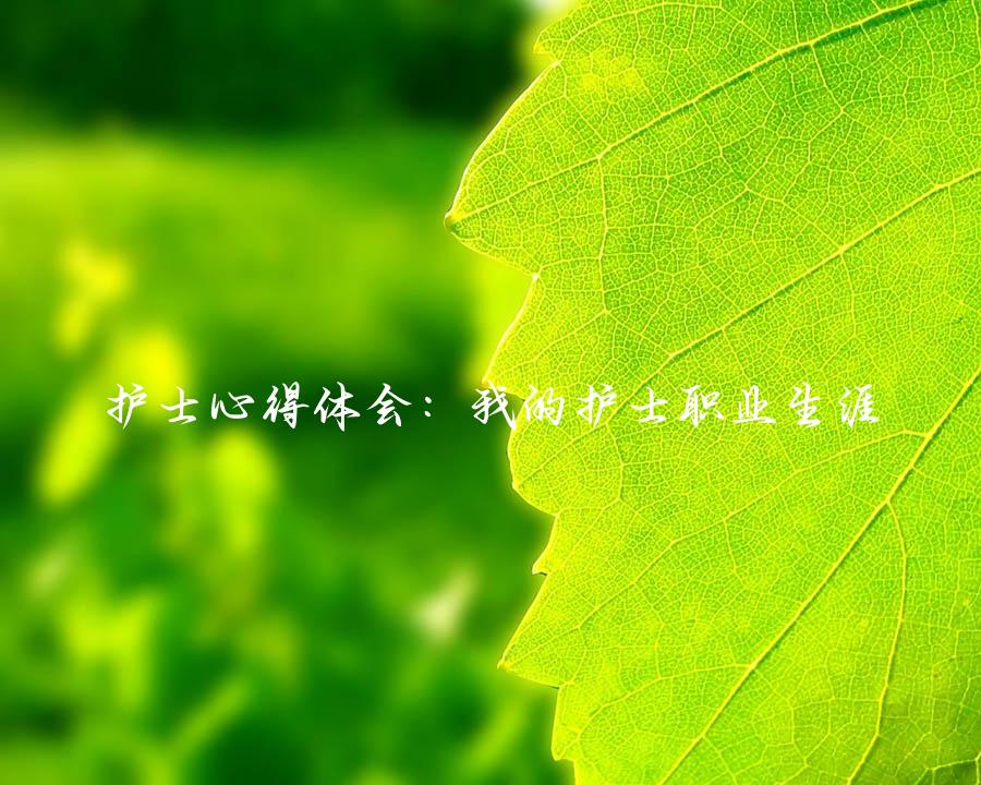 护士心得体会：我的护士职业生涯