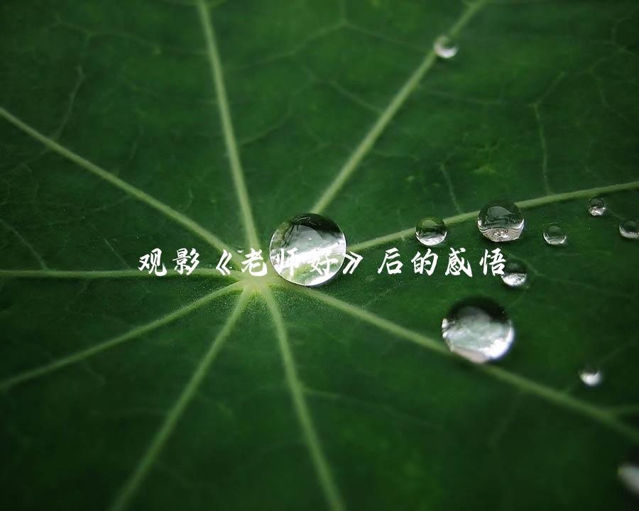 观影《老师好》后的感悟