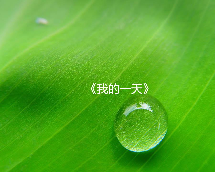 《我的一天》