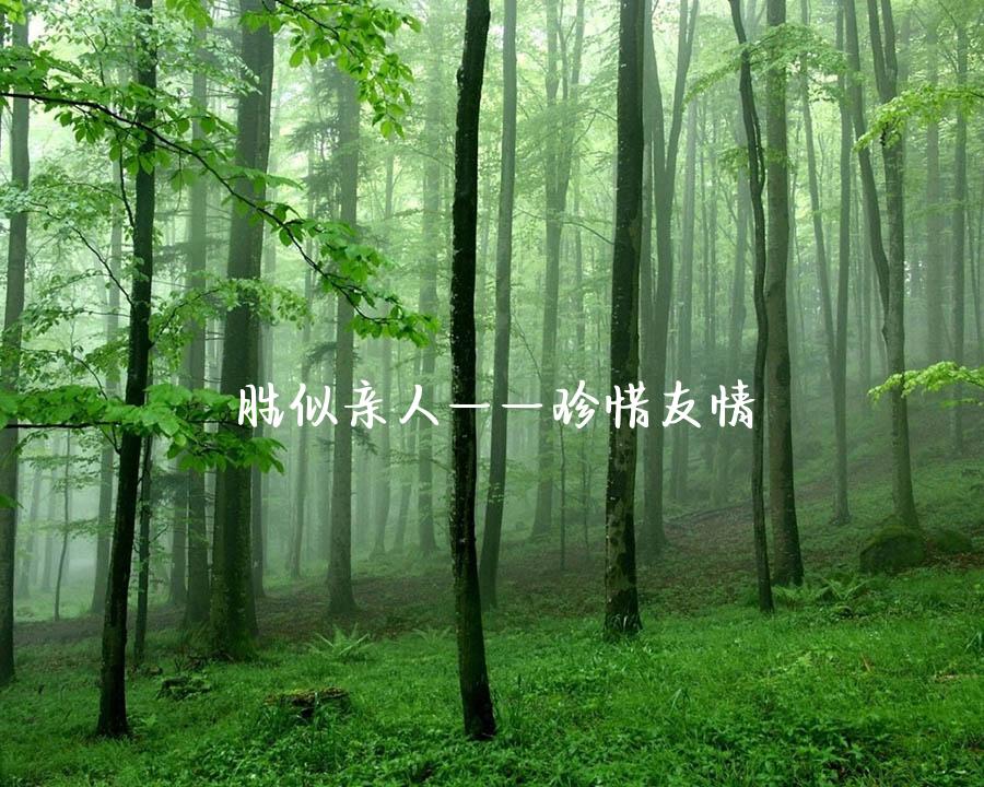 胜似亲人——珍惜友情