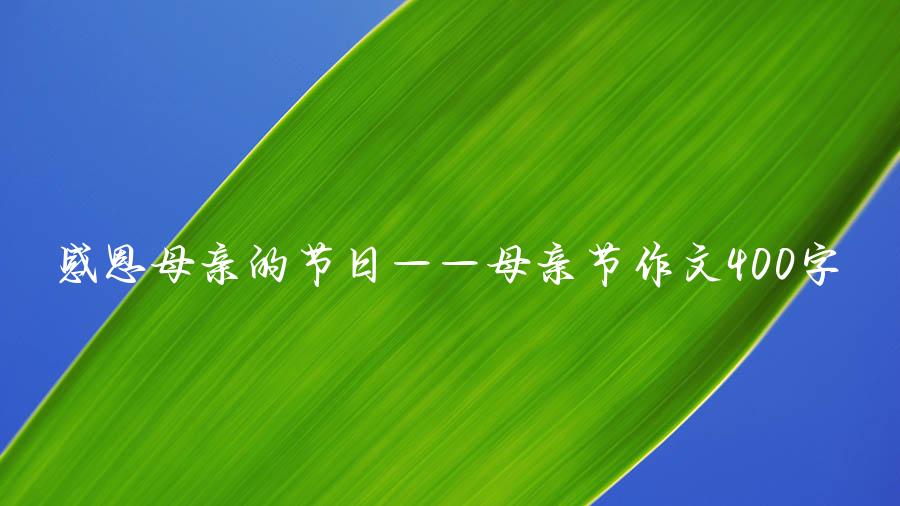 感恩母亲的节日——母亲节作文400字