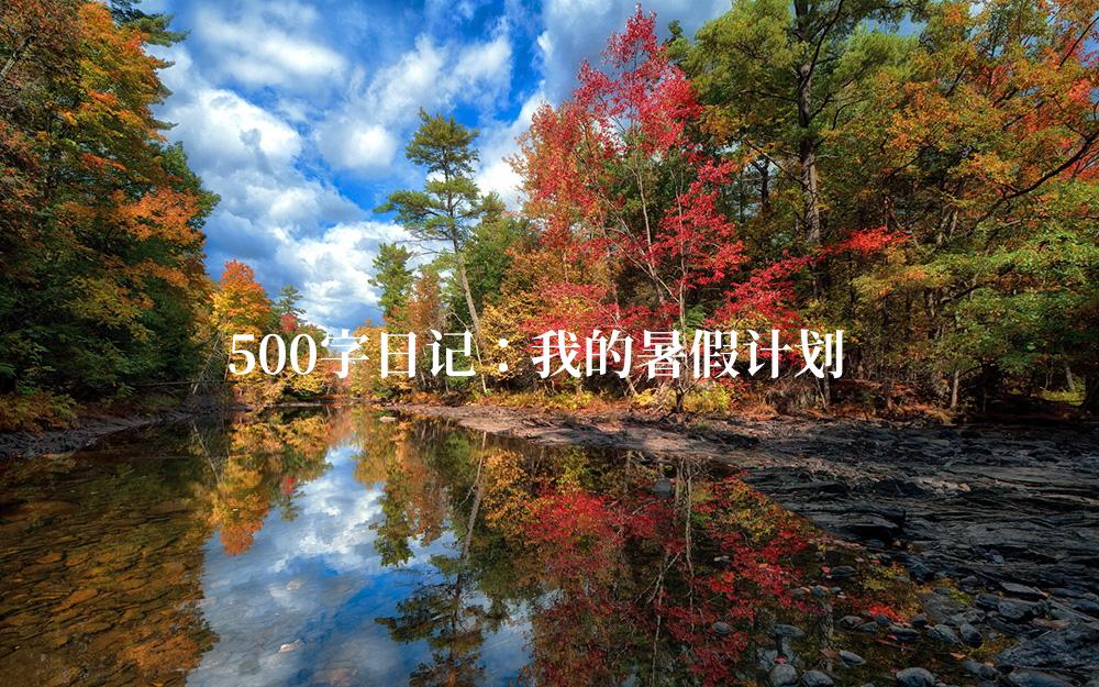 500字日记：我的暑假计划