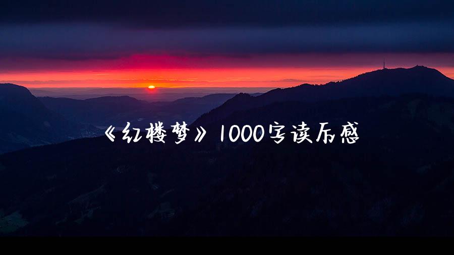 《红楼梦》1000字读后感