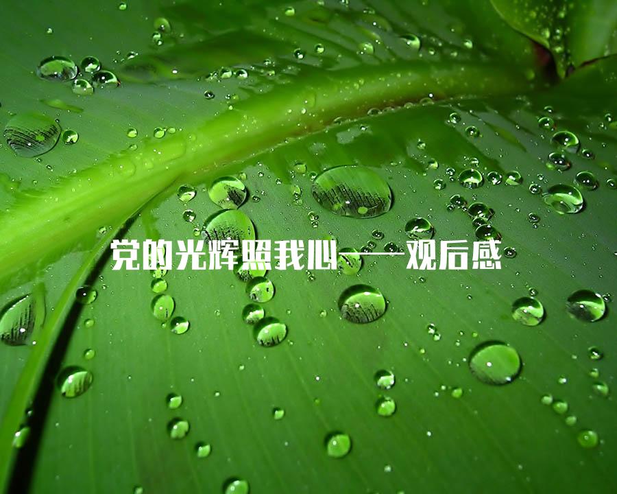 党的光辉照我心——观后感