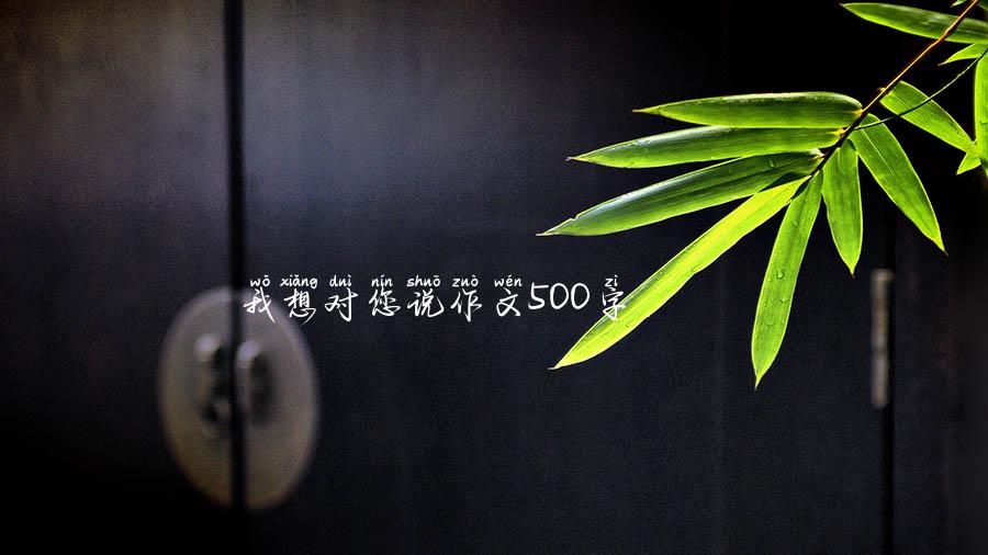 我想对您说作文500字