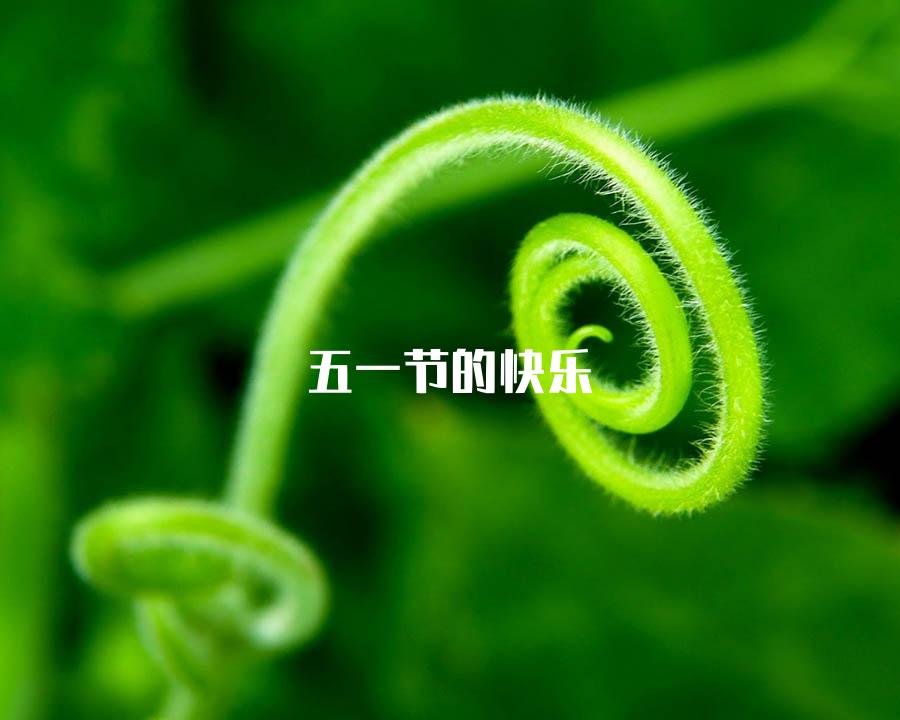 五一节的快乐