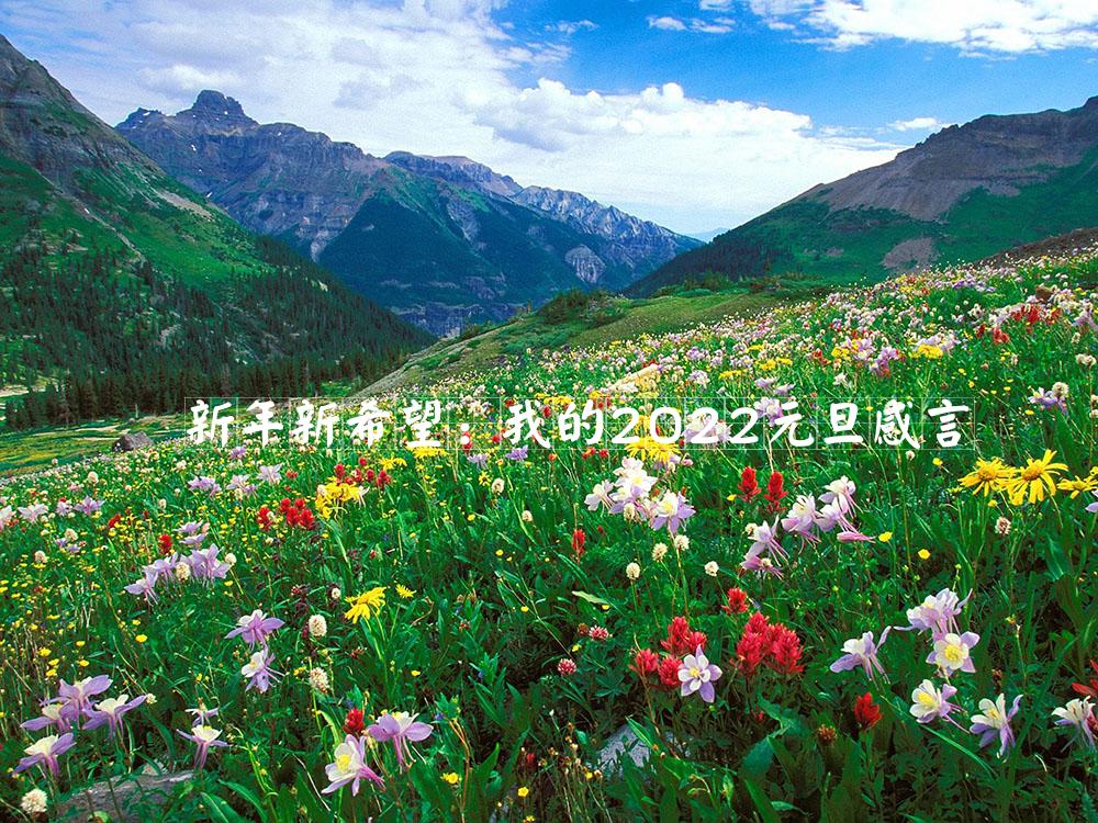 新年新希望：我的2022元旦感言