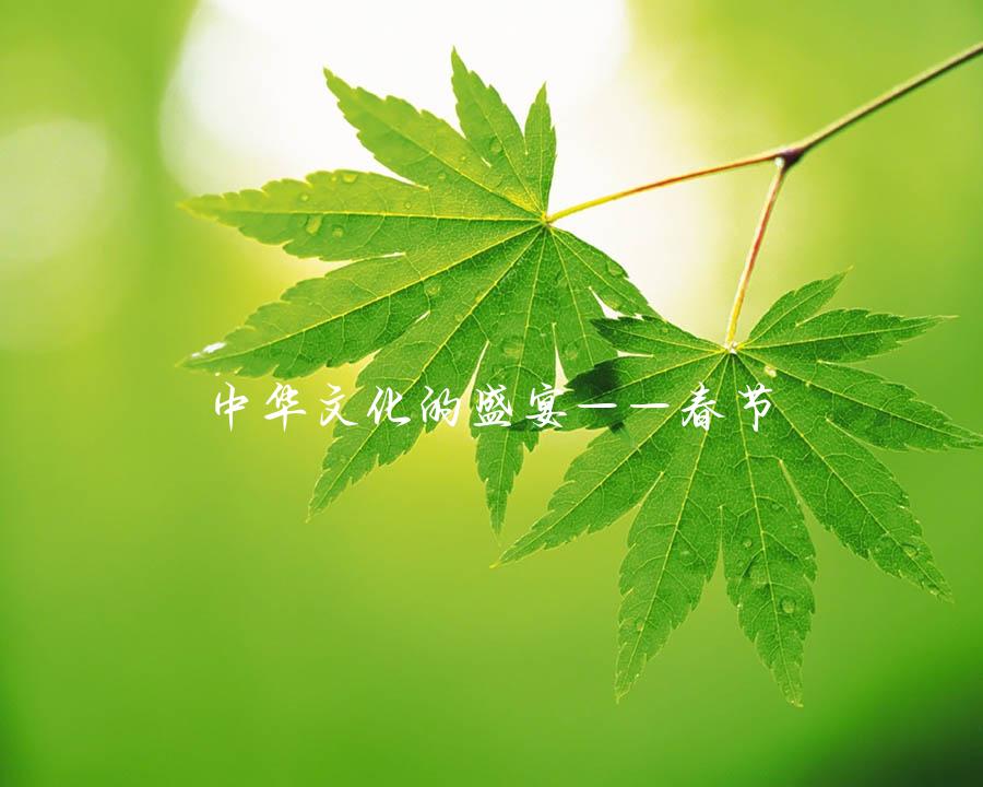 中华文化的盛宴——春节