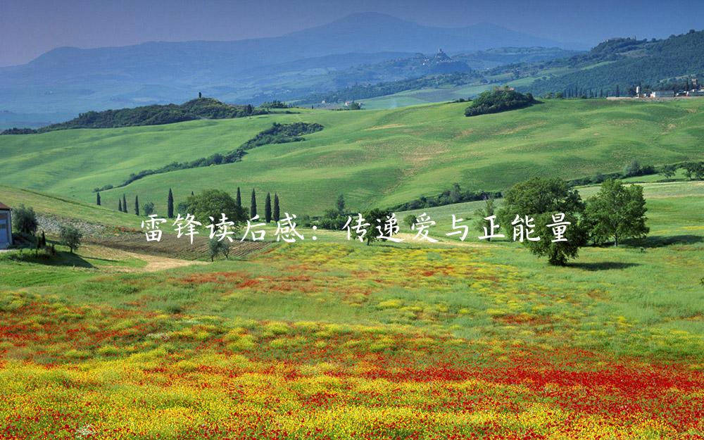 雷锋读后感：传递爱与正能量