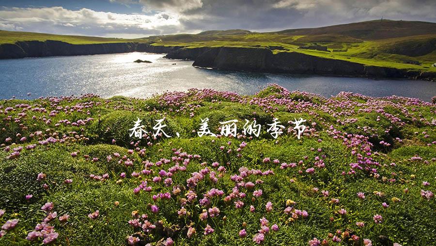 春天，美丽的季节