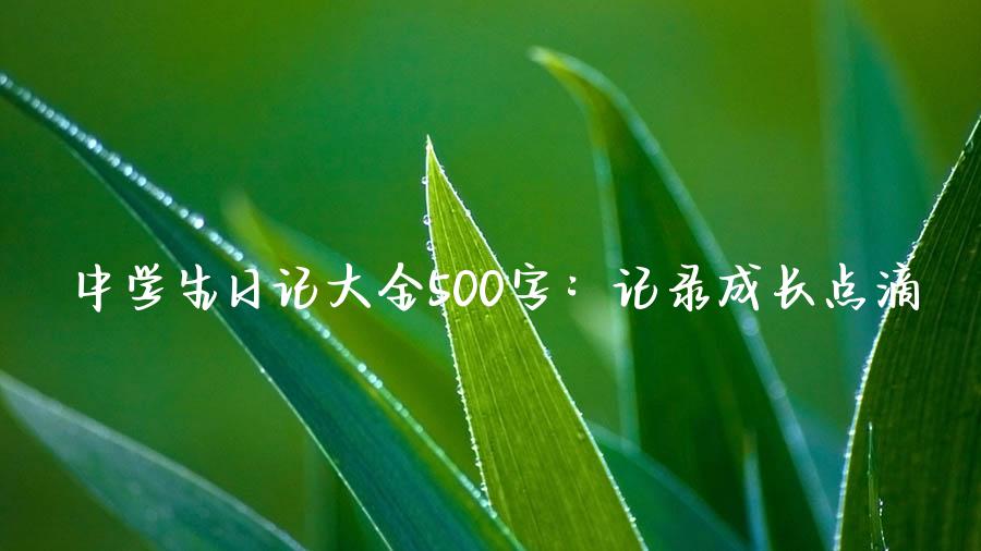 中学生日记大全500字：记录成长点滴