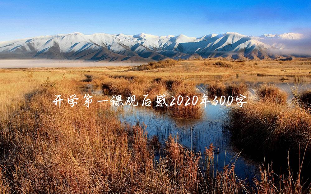 开学第一课观后感2020年300字