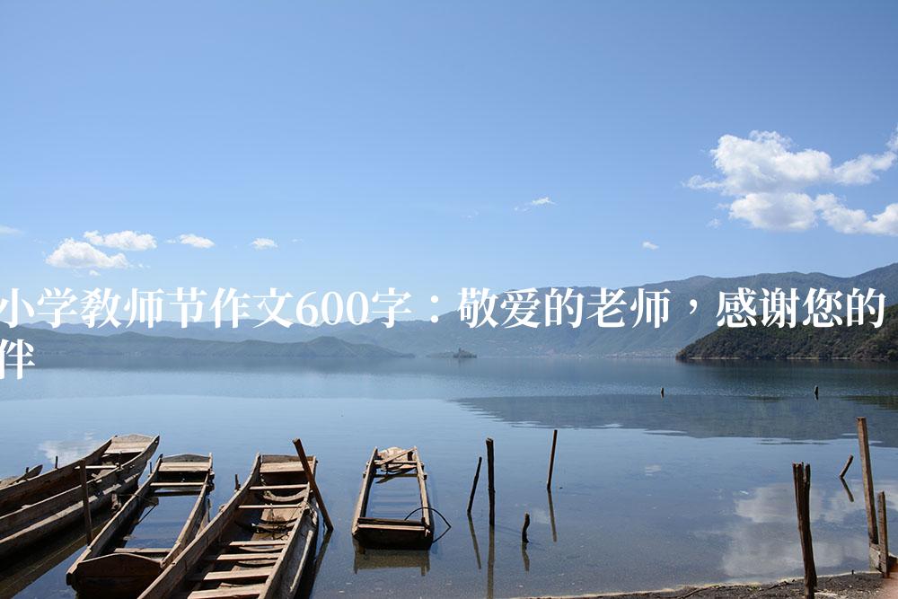 中小学教师节作文600字：敬爱的老师，感谢您的陪伴