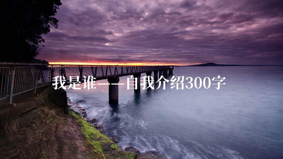 我是谁——自我介绍300字