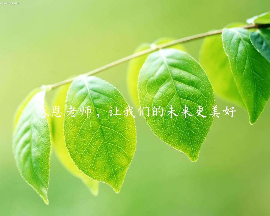 感恩老师，让我们的未来更美好