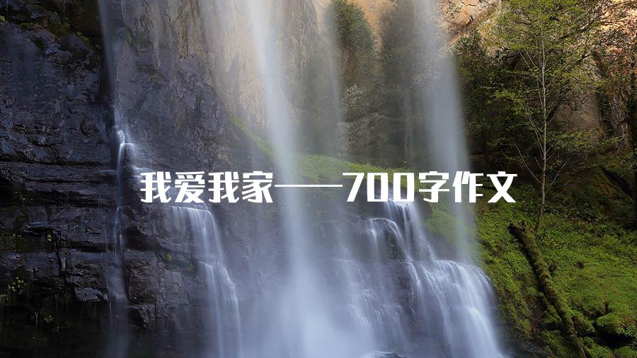 我爱我家——700字作文