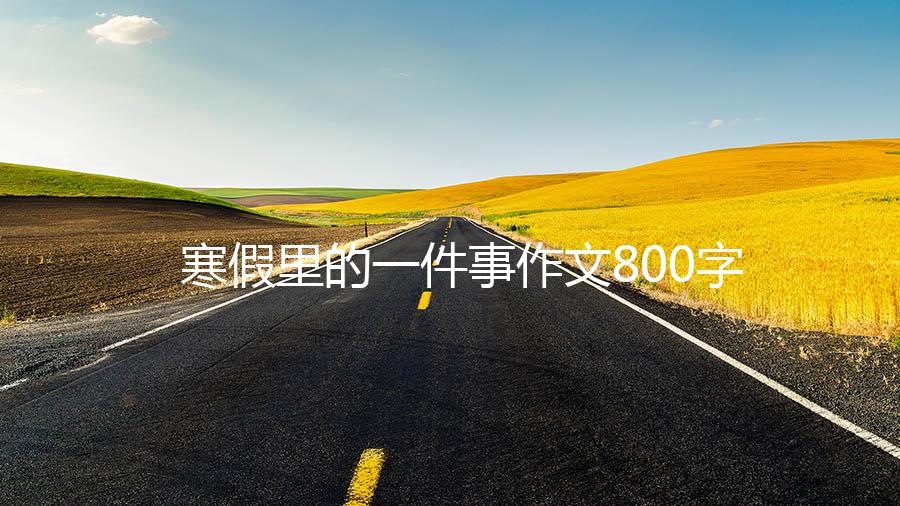 寒假里的一件事作文800字