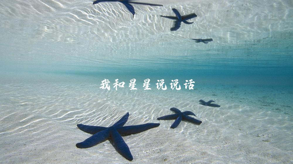 我和星星说说话