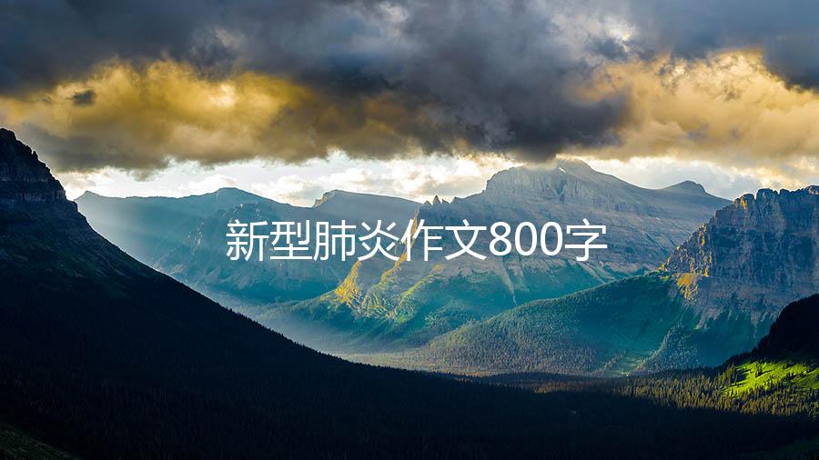 新型肺炎作文800字