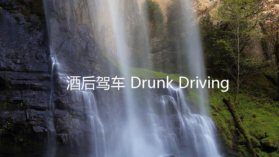 酒后驾车 Drunk Driving