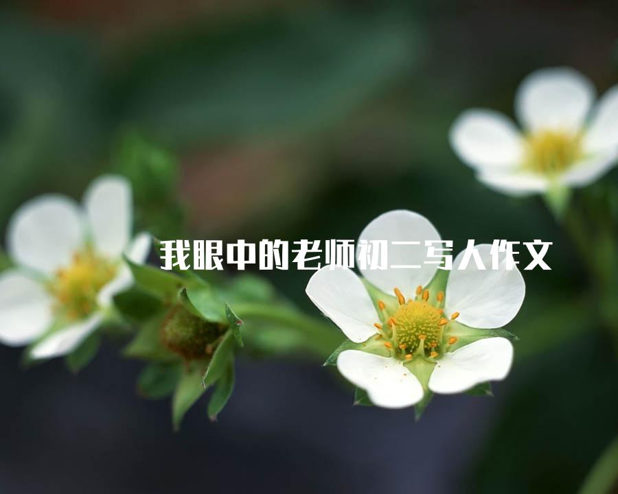 我眼中的老师初二写人作文