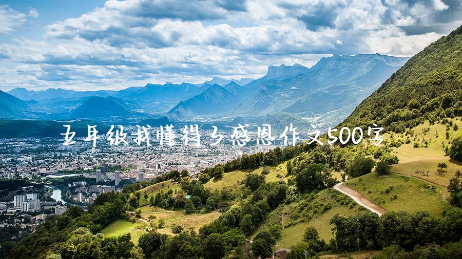 五年级我懂得了感恩作文500字