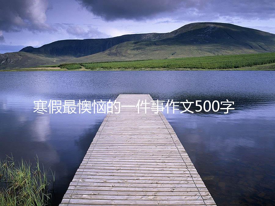 寒假最懊恼的一件事作文500字