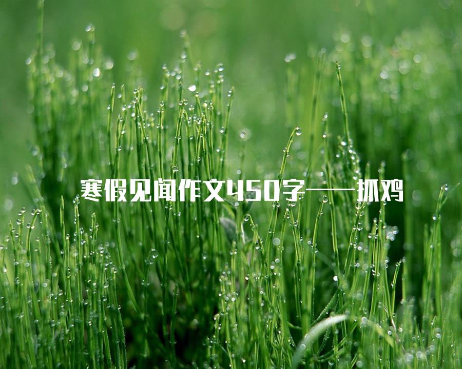 寒假见闻作文450字——抓鸡