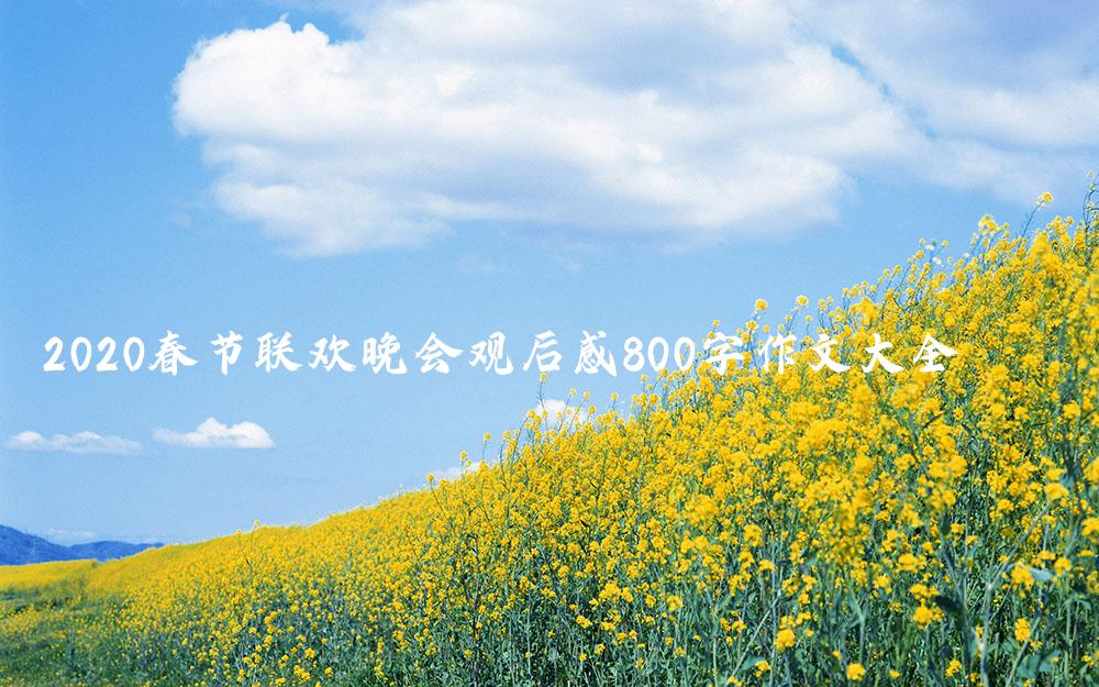 2020春节联欢晚会观后感800字作文大全