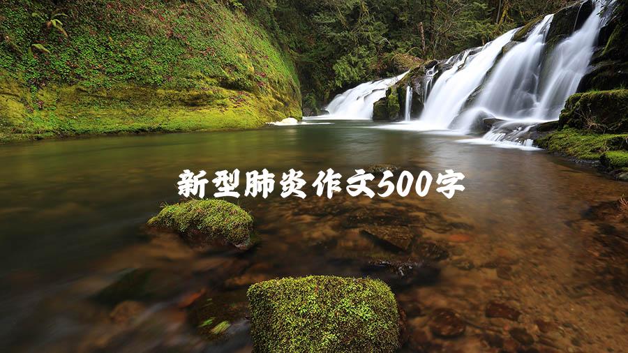 新型肺炎作文500字