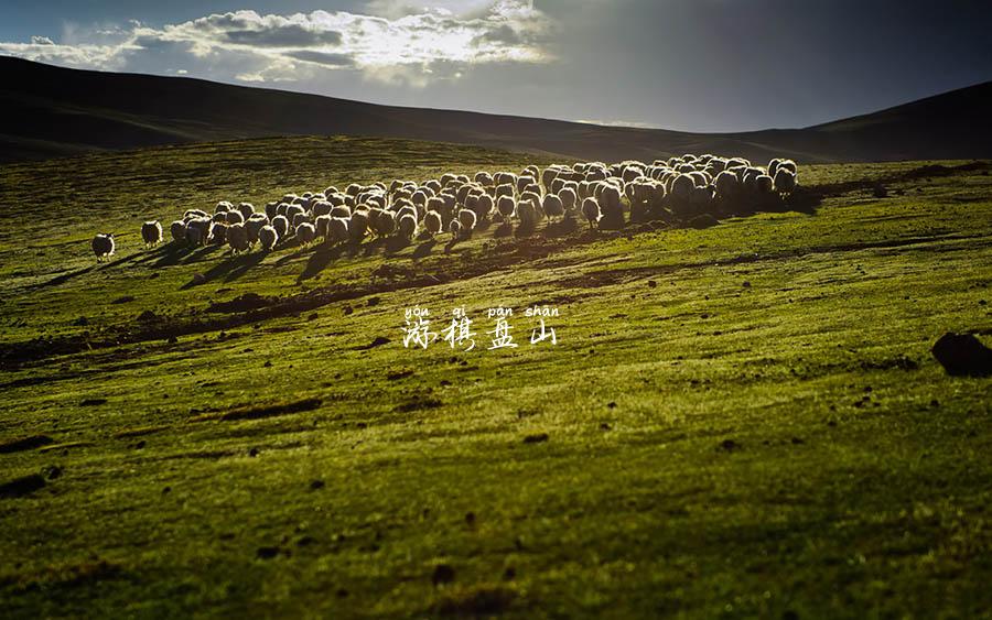 游棋盘山