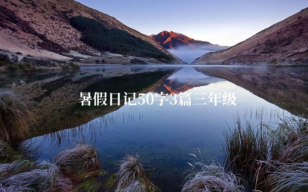 暑假日记50字3篇三年级