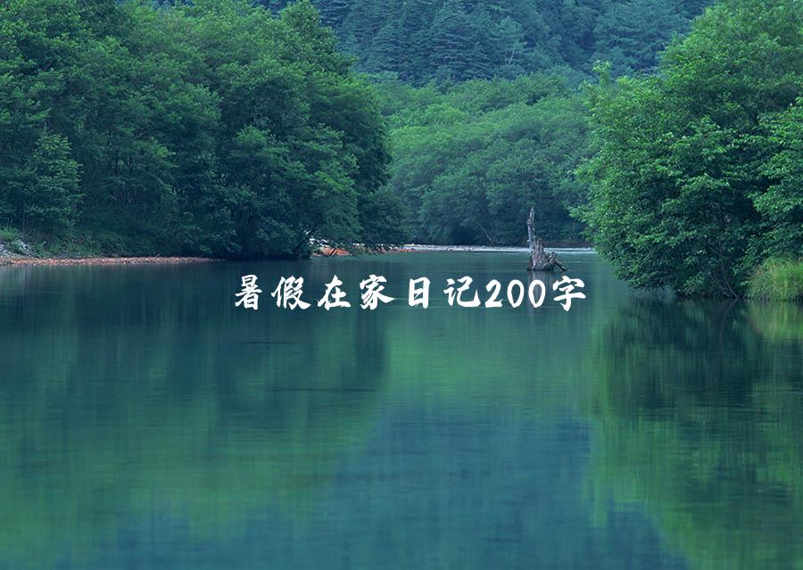 暑假在家日记200字