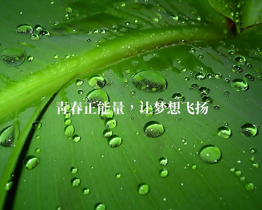 青春正能量，让梦想飞扬