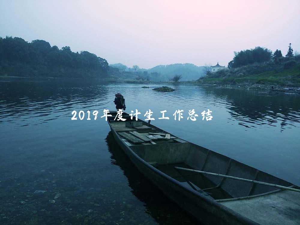 2019年度计生工作总结