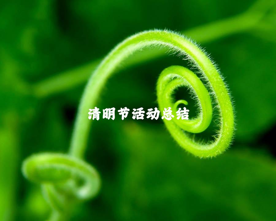 清明节活动总结