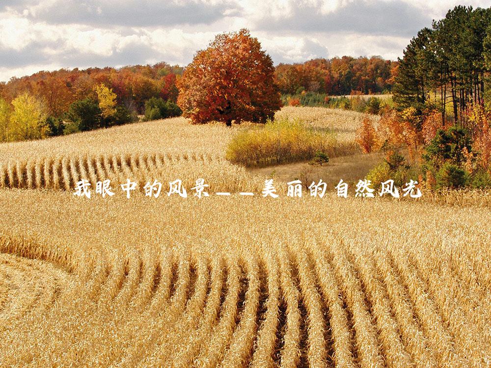 我眼中的风景——美丽的自然风光