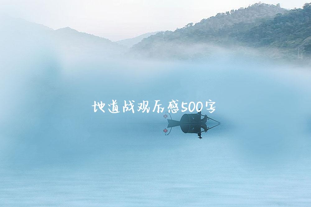 地道战观后感500字