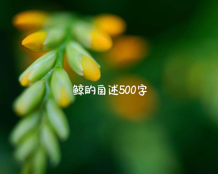 鲸的自述500字