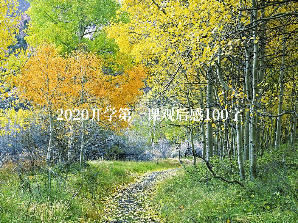 2020开学第一课观后感100字