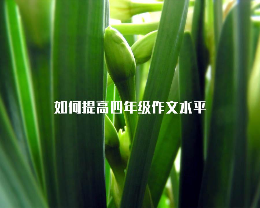 如何提高四年级作文水平