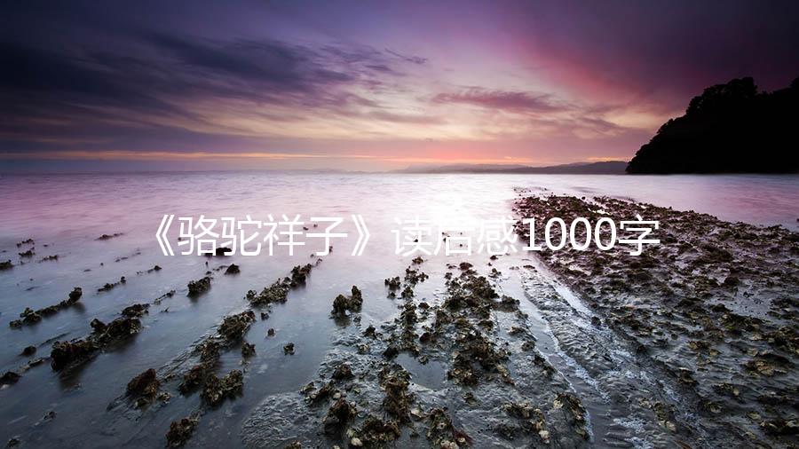 《骆驼祥子》读后感1000字