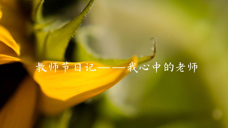 教师节日记——我心中的老师